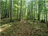 Stojdraga (Glažuta) - Tuščak (Žumberačka gora)