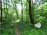 Kal-Koritnica - Lipnik (nad Lepeno)
