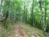 Kal-Koritnica - Lipnik (nad Lepeno)