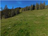 Bürgeralm (Panoramastraße) - Schönleitenhaus (Windgrube)