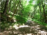 Jesenovo - Črni vrh (Čemšeniška planina)