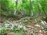 Tam na Meji - Lanževica / Punta Lausciovizza