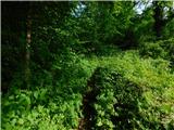 Breg - Sveti Lovrenc (nad vasjo Okroglice)