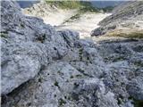 Bavšica - Bavški Grintavec