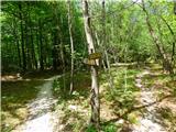 Planina Polog - Izvir Tolminke