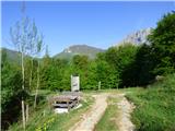 Čadrg - Žlejžn