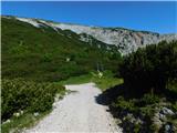 Raxalm-Berggasthof (Rax) - Heukuppe (Rax)