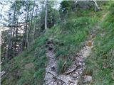 Lučka Bela (Za Loncem) - Kocbekov dom na Korošici