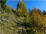 Aflenz Kurort (Bürgergraben) - Bürgeralm