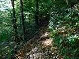 Slovenske Konjice (sv. Jurij) - Skala