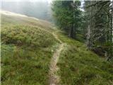 Parkirišče Hoyer (Neuhofgraben) - Lärchkogel (Glinska planina / Gleinalpe)