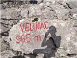 Velinac