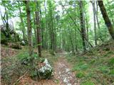 Kal-Koritnica - Lipnik (nad Lepeno)