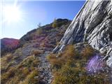 Planina Podvežak - Mala Ojstrica