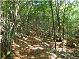 Hotel Boka - Planina Baban