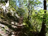 Tam na Meji (Beli potok) - Planina Nizki vrh