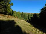 Waldheimhütte - Rothaidenhütte