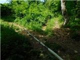 Žejno (Foto Ivanšek) - Sveti Vid (Šentviška gora)