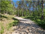 Škalnica - Veli vrh (nad Škalnico)