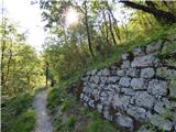 Žaga - Gulj