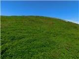 Oberfresen (Brendlwald) - Kleiner Frauenkogel (Golica / Koralpe)