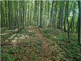 Stojdraga (Glažuta) - Tuščak (Žumberačka gora)