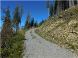 Aflenz Kurort (Bürgergraben) - Hochstein (pri Mitteralm)