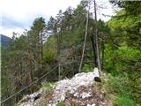 Gozd Martuljek - Jerman