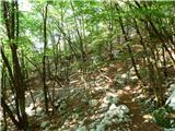 Hotel Boka - Planina Baban