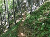 Velika planina - Konjska dolina Pribremzam do prečne lovske poti (pogled na levo). Grem v desno in...