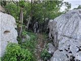 Ljubotić (Sv. Ante) - Planinsko zavetišče Tatekova koliba