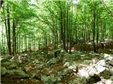 Planina Polog - Izvir Tolminke