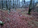 Poklon - Krog (Učka)