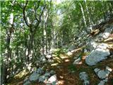Hotel Boka - Planina Baban