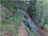 Lučka Bela (Za Loncem) - Kocbekov dom na Korošici