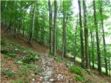 Kal-Koritnica - Lipnik (nad Lepeno)