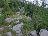 Ljubotić (Sv. Ante) - Planinsko zavetišče Tatekova koliba
