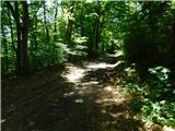 Gornji Senik / Felsőszölnök - Stražarski toranj iznad Eisenberga