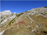 Planina Podvežak - Mala Ojstrica