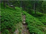 Glashütten (Gasthof Almwirt) - Glashüttenkogel
