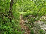 Podoštra - Oštra