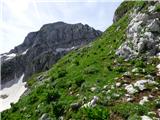 Planina Zapleč - Krn