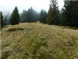 Parkirišče Hoyer (Neuhofgraben) - Lärchkogel (Glinska planina / Gleinalpe)