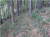 Log - Črni vrh
