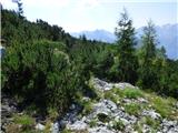 Soča - Vrh Ruš