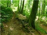 Žejno (Foto Ivanšek) - Sveti Vid (Šentviška gora)
