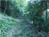 Lovrenc na Pohorju - Dolina Radoljne (Pruh)