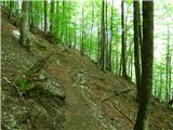 Planina Polog - Žlejžn
