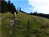 Salzstiegelhaus - Rappoldkogel