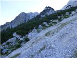 Bavšica - Šmihelovec